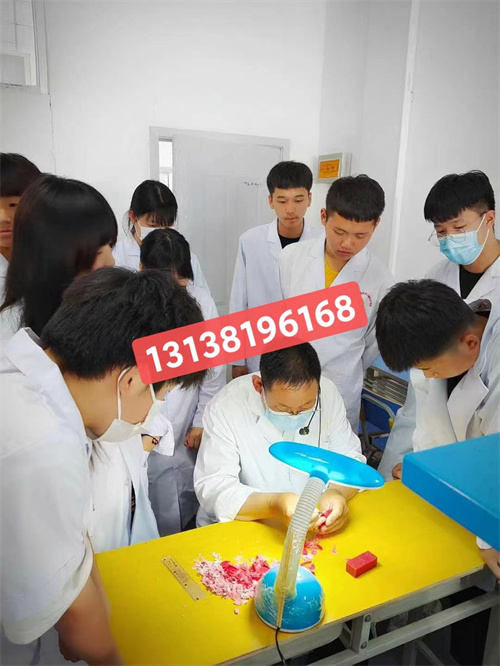 石家莊白求恩醫(yī)學院升學對口高考和單招有什么區(qū)別？