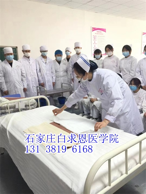 河北對口高考和對口單招有什么不同？